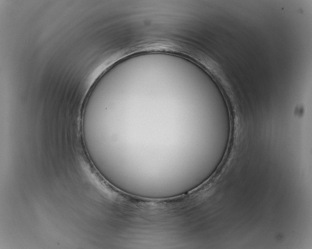X0000111391234200907100953