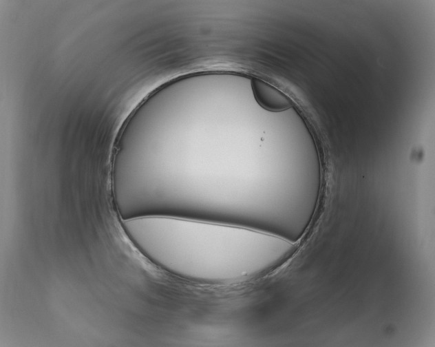 X0000111391236200907100953
