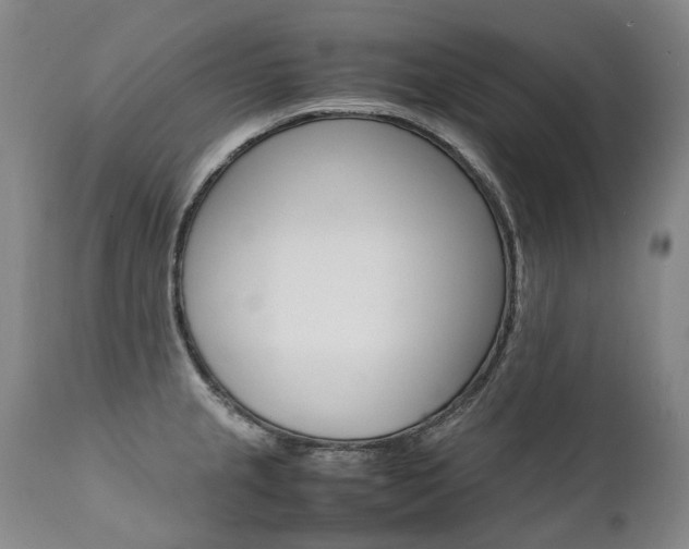 X0000111391237200907100953