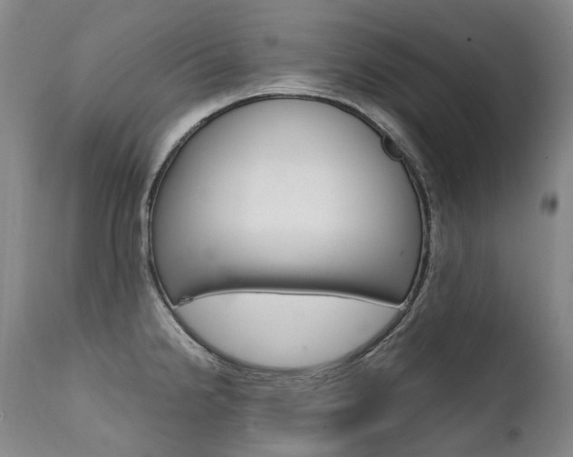 X0000111391238200907100953