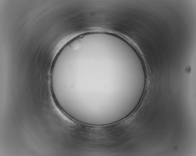 X0000111391239200907100953