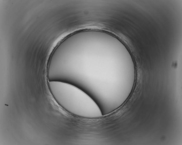 X0000111391240200907100953