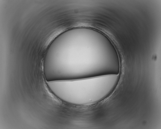 X0000111391241200907100953