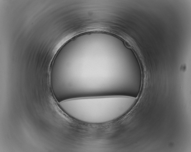 X0000111391242200907100953