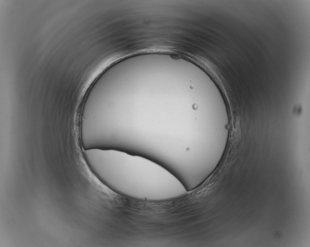 X0000111391243200907100953