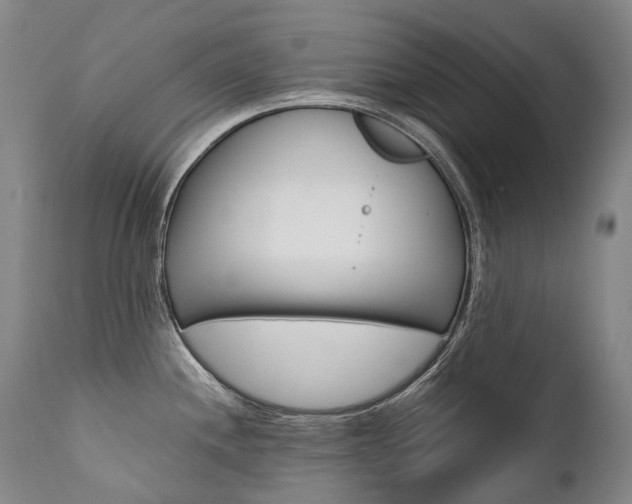 X0000111391244200907100953