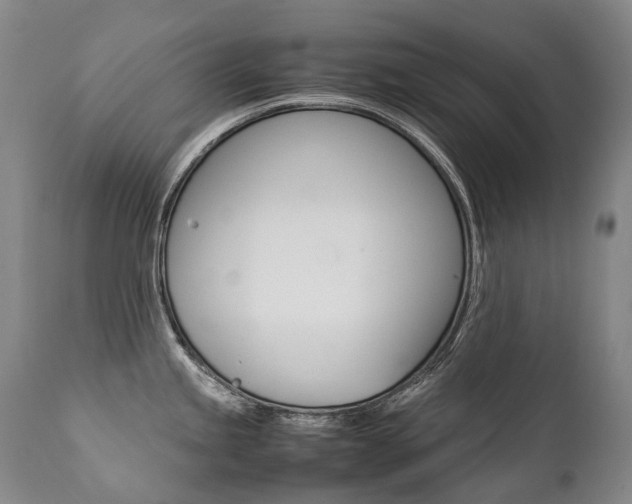 X0000111391245200907100953