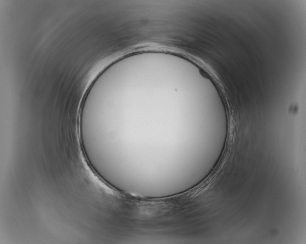 X0000111391247200907100953