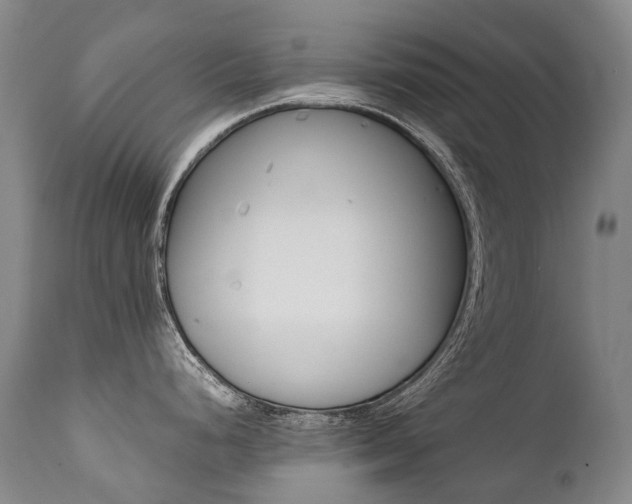 X0000111391248200907100953