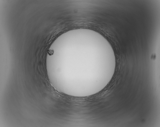 X0000111391249200907100952