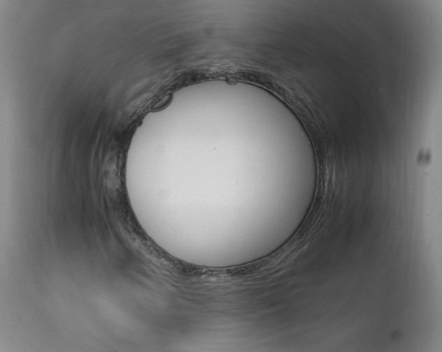 X0000111391250200907100952