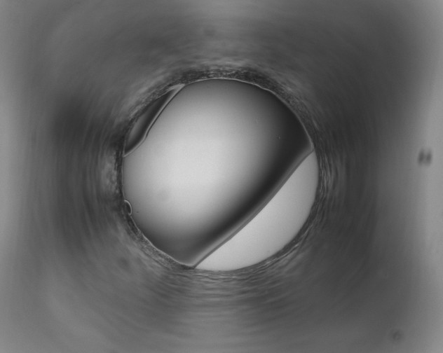 X0000111391252200907100952