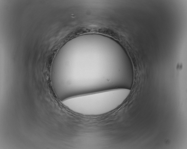 X0000111391253200907100952