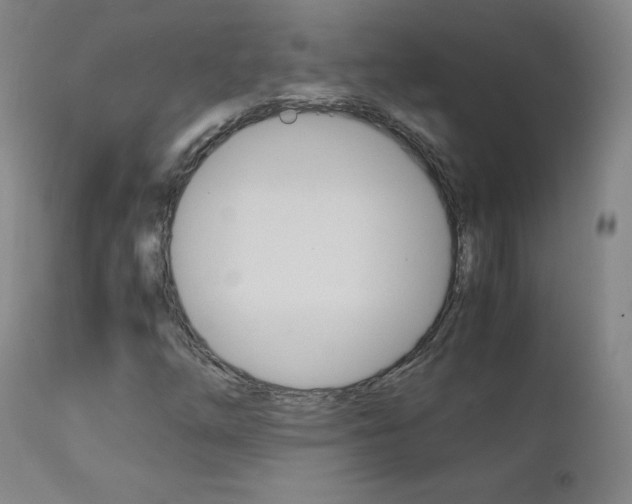 X0000111391254200907100952