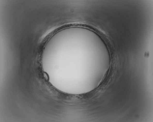 X0000111391255200907100952