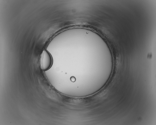 X0000111391257200907100952