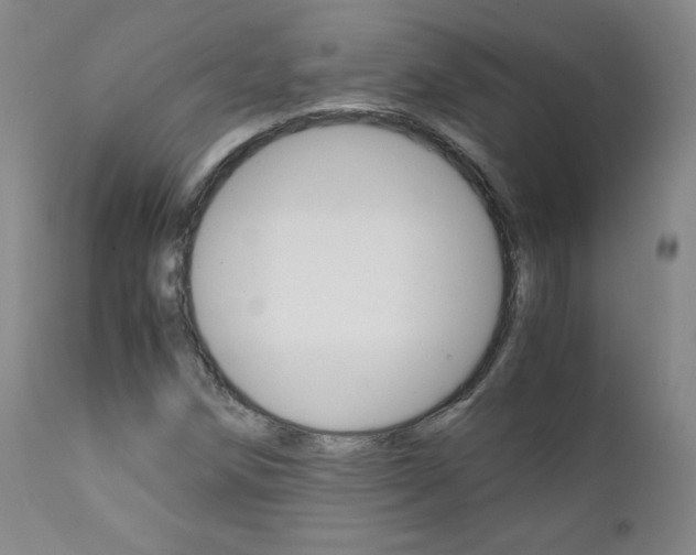 X0000111391258200907100952