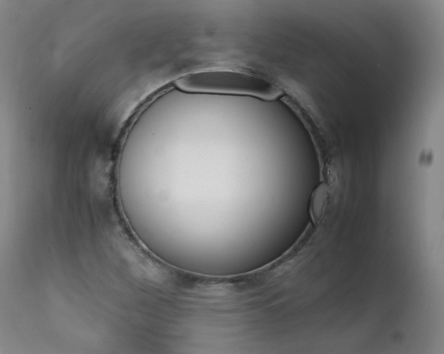 X0000111391260200907100952