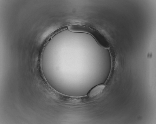 X0000111391261200907100952