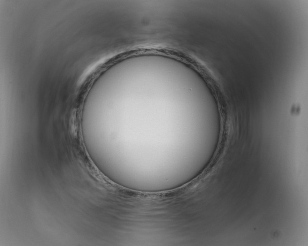 X0000111391262200907100952