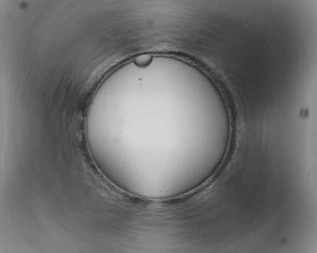 X0000111391265200907100952