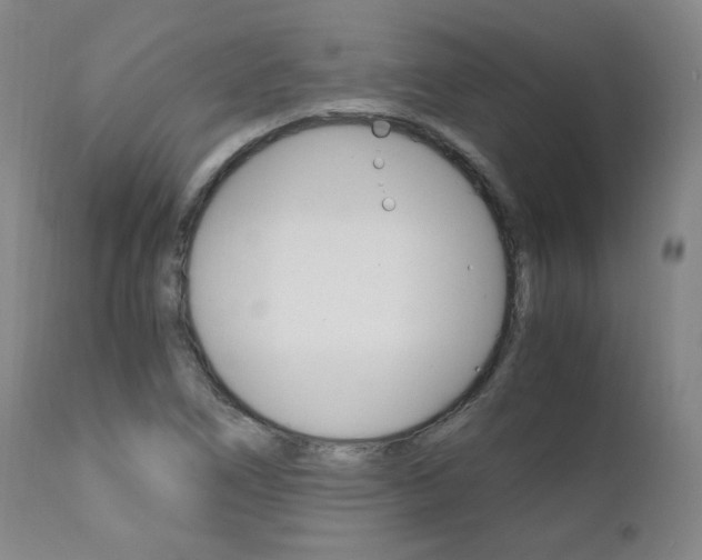 X0000111391266200907100952