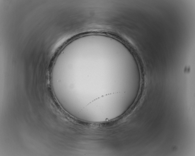 X0000111391267200907100952