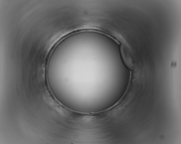 X0000111391268200907100952