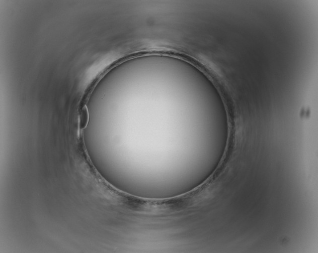 X0000111391269200907100952
