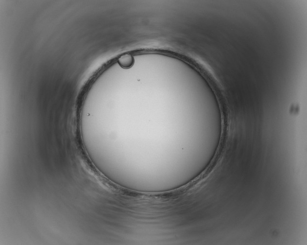 X0000111391270200907100952