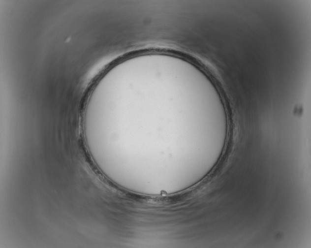 X0000111391271200907100952