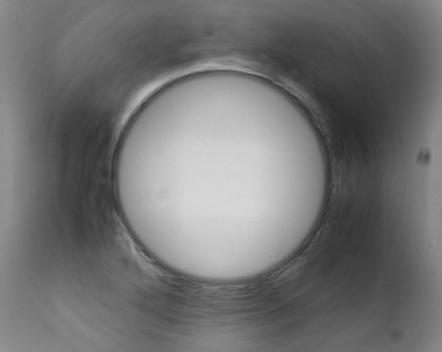 X0000111391272200907100952