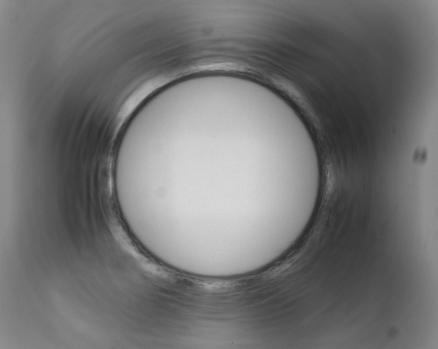 X0000111391274200907100952
