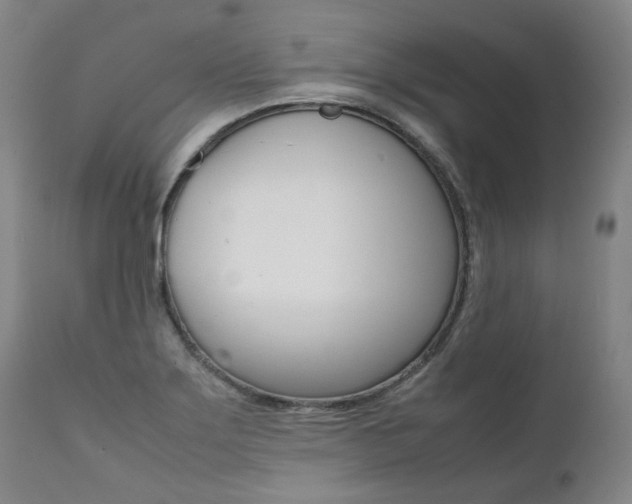 X0000111391275200907100952