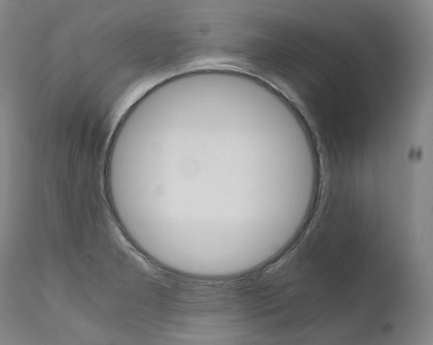 X0000111391277200907100952