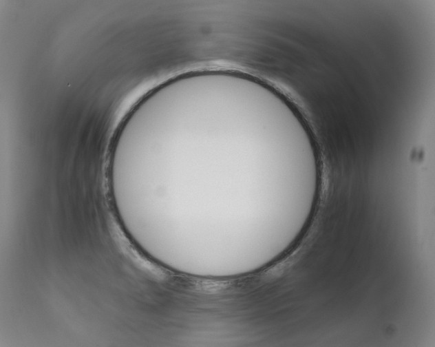 X0000111391278200907100952