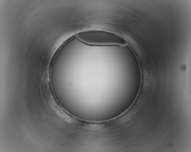 X0000111391280200907100952