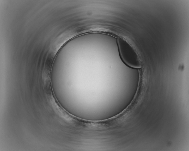 X0000111391281200907100952