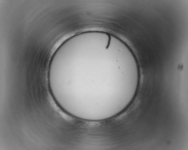 X0000111391282200907100952