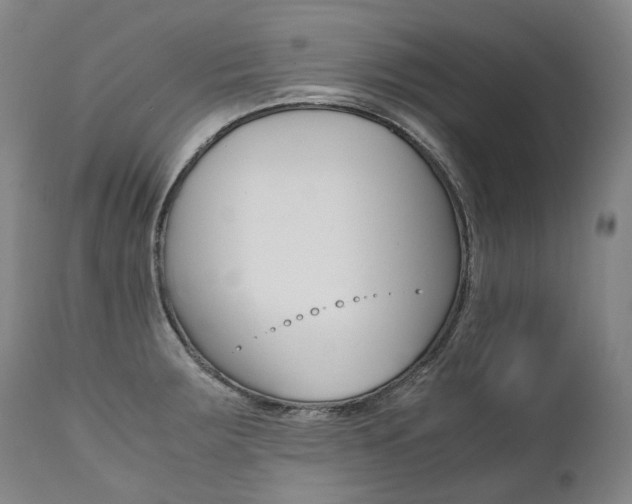 X0000111391283200907100952