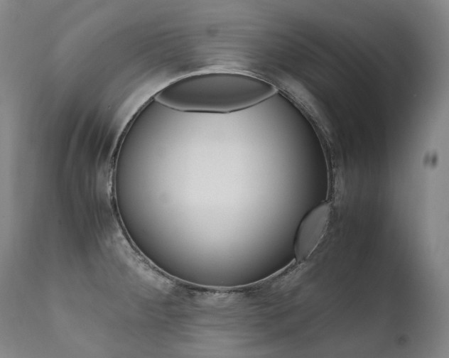 X0000111391284200907100952