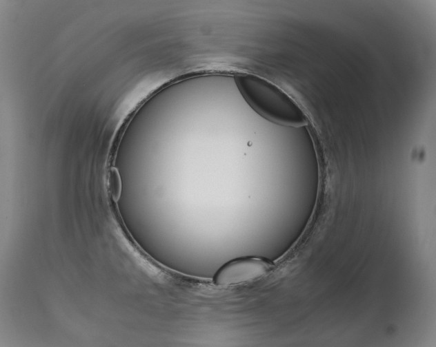 X0000111391285200907100952