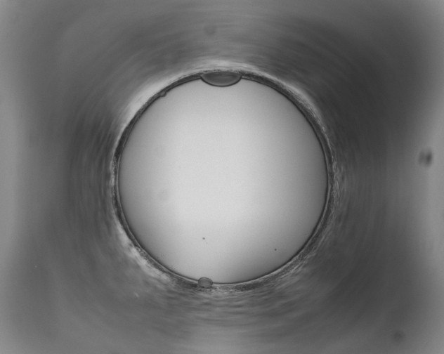 X0000111391287200907100952