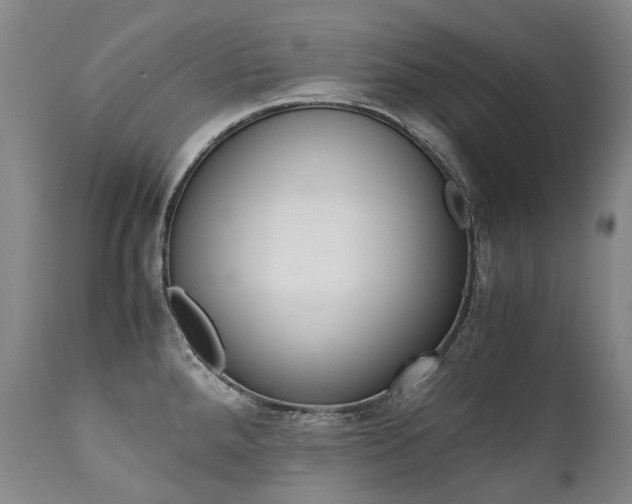 X0000111391288200907100952