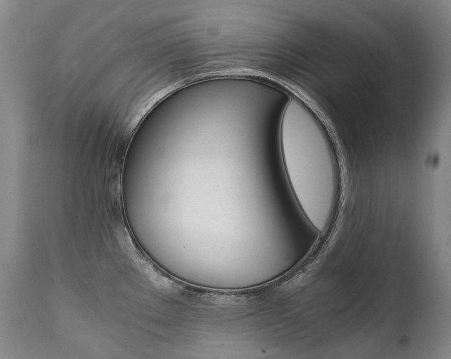 X0000111391289200907100952
