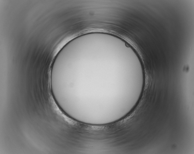 X0000111391290200907100952