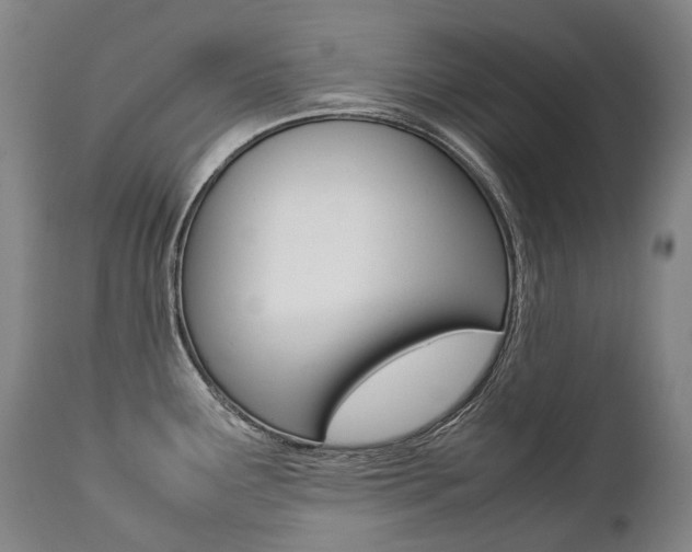 X0000111391291200907100952