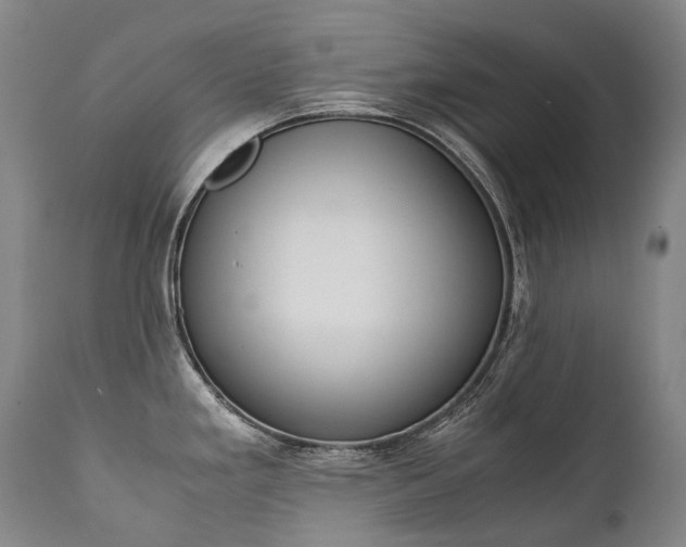 X0000111391293200907100952
