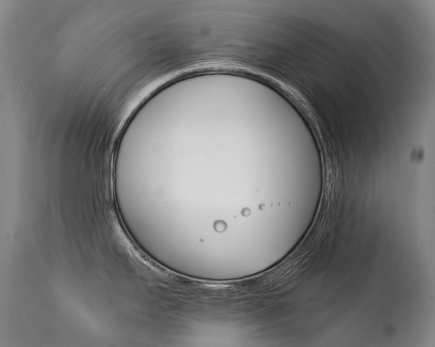 X0000111391295200907100952