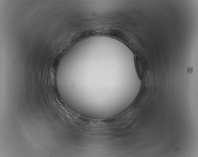 X0000111391298200907100951